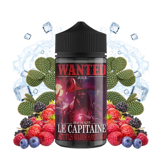 Le Capitaine 0mg 200ml - Wanted Juice