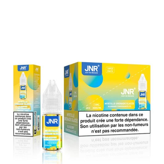 Blueberry Pomegranate Ice Nic Salt 20mg 10ml - JNR
