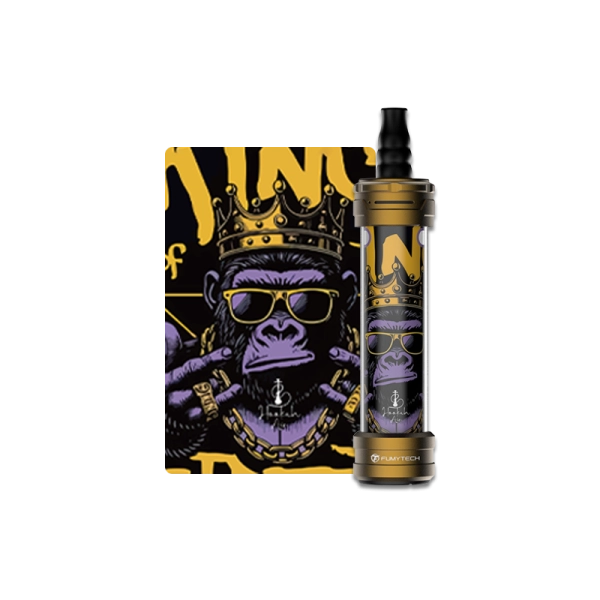 E-Chicha Portable Hookah Air Mini MTL/RDL 3ml 1500mAh - Fumytech