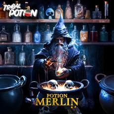 Potion Merlin (Violette/Fruit du dragon/Grenade/Limonade) 0mg 50ml - Tribal Force