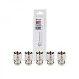 Résistances Ex pour Exceed 1.2Ω (5pcs) - Joyetech