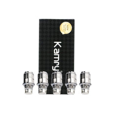 Résistances K1000 Plus 0.5/0.6Ω (5pcs) - Kamry