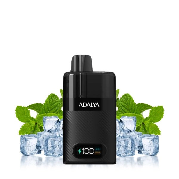 Starter Kit Levo 30K 1000mAh 10ml/2% - Adalya