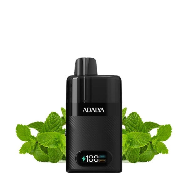 Starter Kit Levo 30K 1000mAh 10ml/2% - Adalya