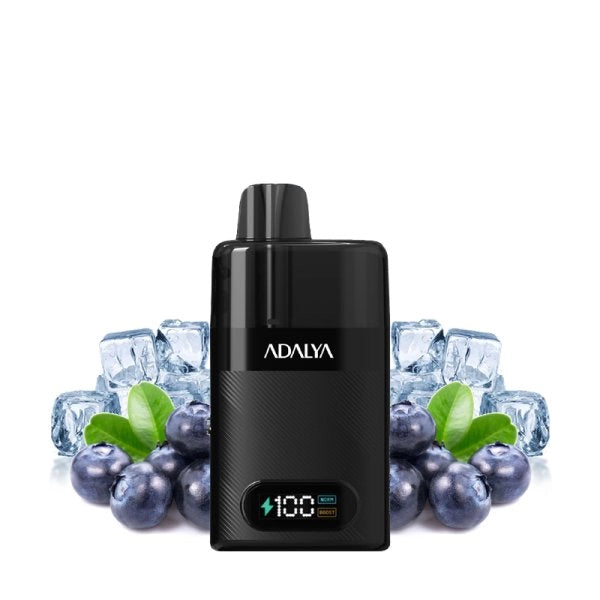 Starter Kit Levo 30K 1000mAh 10ml/2% - Adalya