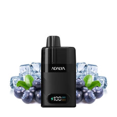 Starter Kit Levo 30K 1000mAh 10ml/2% - Adalya